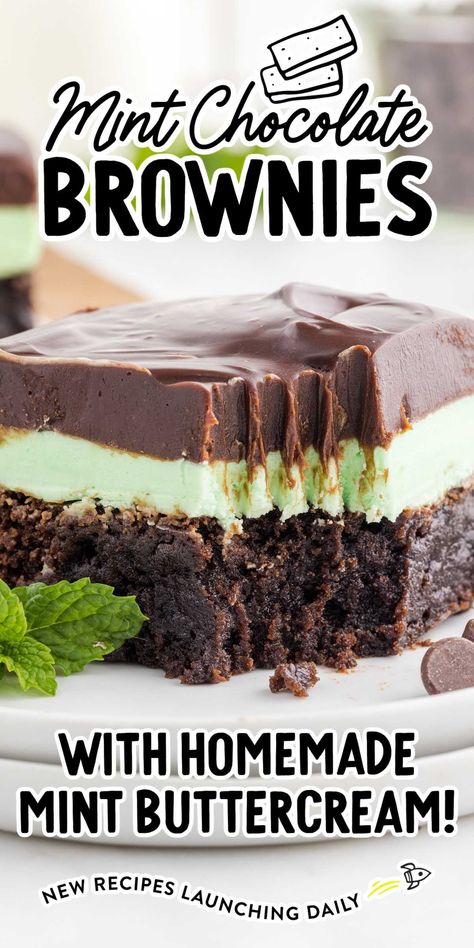 Mint Chip Brownies, Mint Bars, Mint Bars Recipes, Mint Chocolate Chip Brownies, Recipes For A Bake Sale, Mint Chocolate Brownies, Chocolate Mint Desserts, Mint Brownies Recipe, Chocolate Mint Brownies