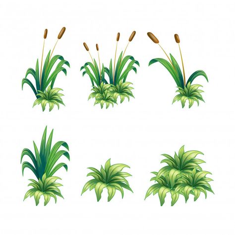 Grass Images, Vector Grass, Floral Background Design, Grass Drawing, Grass Illustration, Grass Vector, Flower Png Images, Framed Leaves, Grass Painting