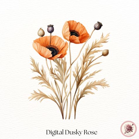 Poppy Clipart, Grass Png, Watercolor Boho, Flowers Illustration, Boho Flowers, Pampas Grass, Flower Illustration, Rich Colors, Creative Projects