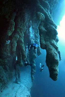 The Great Blue Hole, Belize Great Blue Hole Belize, Blue Hole Belize, Great Blue Hole, Blue Hole, Roatan, Santa Lucia, Underwater World, Scuba Diving, Belize