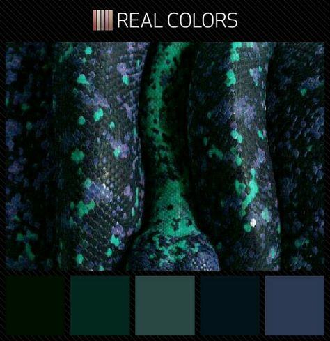 Black purple & green snake. Color palette swatches Snake Colour Palette, Malachite Color Palette, Medusa Color Palette, Dragon Colour Palette, Snake Color Palette, Loki Color Palette, Poison Color Palette, Dragon Color Palette, Gothic Color Palette