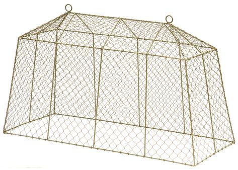 Buy Tent cloche: Delivery by Waitrose Garden in association with Crocus Chicken Wire Cloche Diy, Wire Cloche Diy, Garden Cages, Chicken Wire Cloche, Garden Cloches, Wire Cloche, Dream Greenhouse, Garden Cloche, Veg Garden