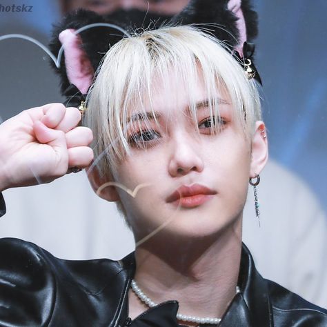 Felix Cat, Hybrid Cat, Cat Boys, Cat Icon, Like A Cat, Felix Stray Kids, Cat Ears, Stray Kids, Book Art