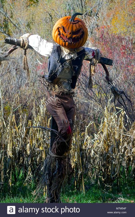 Download this stock image: New York Botanical Garden, The Bronx, New York, USA: Halloween scarecrow with pumpkin head, shirt, vest, and pants tied to a wooden cross in a forest. - M7M54F from Alamy's library of millions of high resolution stock photos, illustrations and vectors. Halloween Garden Ideas, Scary Scarecrow, Scary Halloween Decorations Diy, Halloween Decor Diy, Halloween Outside, Halloween Props Diy, Halloween Scarecrow, Diy Halloween Decor, Halloween Garden