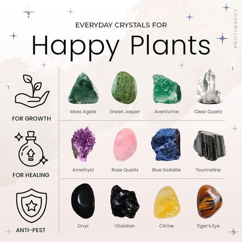 Rachel King, Earth Girl, Crystal Healing Chart, Crystal Vibes, Crystal Guide, Witch Spell Book, Crystals Healing Properties, Spiritual Crystals, Herbal Magic