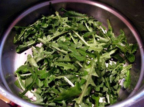 Sauteed Dandelion Greens Recipe, Dandelion Greens Recipes, Wild Food Recipes, One Week Meal Plan, Plant Uses, Wild Crafting, Greens Recipes, 21 Day Detox, Dandelion Greens