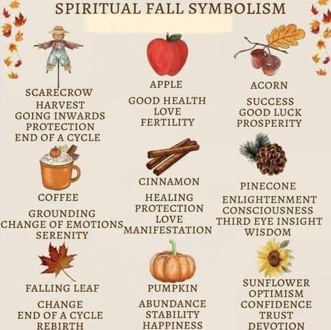 Pine Cones Witchcraft, Pine Cones In Witchcraft, Pine Cone Witchcraft, Pinecone Witchcraft, November Correspondences, Thanksgiving Witchcraft, Witchcraft Correspondences, Autumn Witchcraft, Mabon Crafts