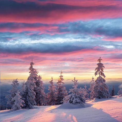 size: 16x16in Photo: Fantastic winter landscape in snowy mountains glowing by morning sunlight. Dramatic wintry scene wi : Smoky Mountains Winter, Winter Photography Ideas Nature, Snowy Landscape Photography, Snowy Landscape, Winter Scene, Winter Morning, Winter Snow Wallpaper, Winter Landscape Photography, Snowy Weather