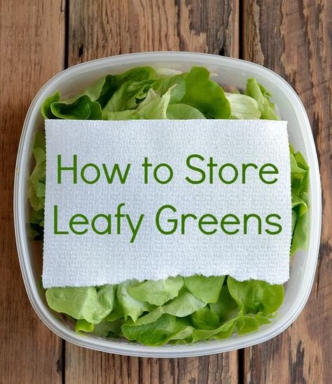 Tired of having your produce spoil and wasting food and money?  Here's how to Store Leafy Greens. Stop throwing away spoiled food and have a healthier diet and a healthier wallet too. Spoiled Food, Lentil Dishes, Food Info, How To Store, Food Facts, Leafy Greens, Kitchen Tips, Zipper Bag, Large Storage