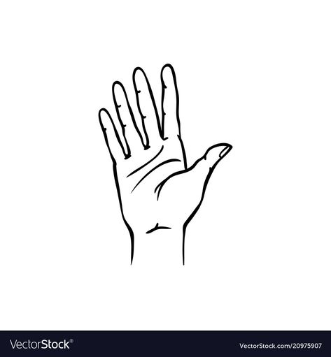 Palm Sketch Hand, Open Hand Sketch, Stop Hand Drawing, Open Hand Illustration, Open Palm Drawing, Hand Waving Drawing, Simple Hands Drawing, Hand Wave Drawing, Open Hands Drawing