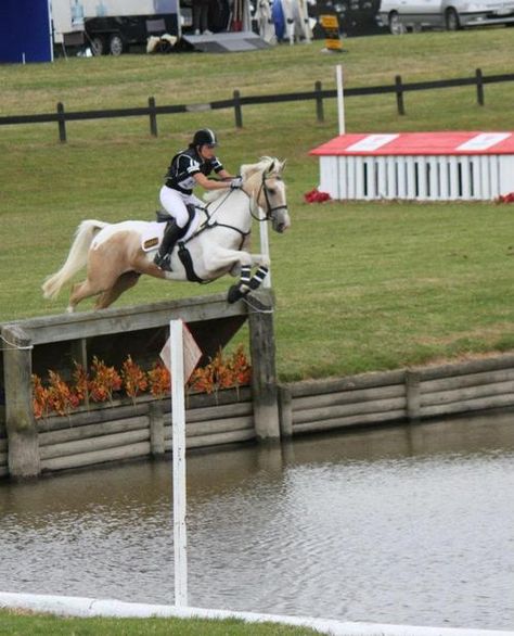 Gold rush n Alycia burton Alycia Burton, Eventing Cross Country, Cross Country Jumps, Bareback Riding, Show Jumping Horses, Horse Trials, Eventing Horses, English Riding, Beautiful Horse