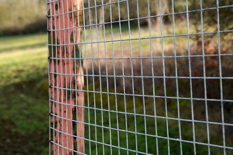 Cheap Fence Ideas: 18 Frugal Ways to Enclose Your Property Creative Dog Fence Ideas, Animal Barrier Fence, Diy Garden Fence Ideas, Cheapest Fence Ideas For Dogs, Field Fence Ideas, Cheap Dog Fence Ideas, Temporary Fencing, Diy Temporary Fence, Temporary Fence