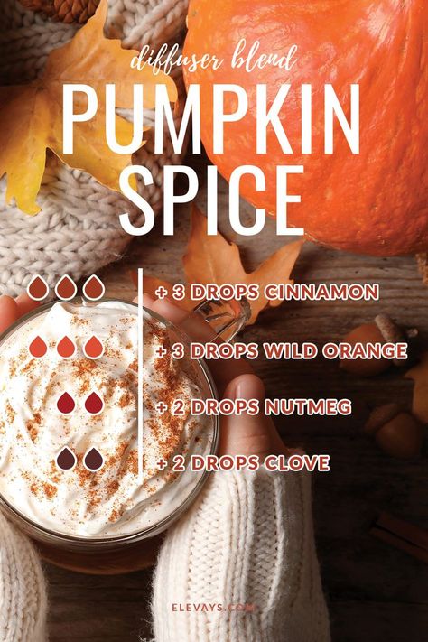 Pumpkin Spice Essential Oil, Pumpkin Essential Oil, Diffuser Scents, Fall Essential Oil Blends, Best Diffuser, Essential Oil Perfumes Recipes, Diy Pumpkin Spice, Fall Essential Oils, Best Essential Oil Diffuser