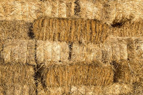 Is straw-bail set to become the new in-vogue building material? Check out its energy reduction properties in this article from @inhabitat.  #sustainability #strawhouse  http://ow.ly/IUofM Straw Building, Hay Stacks, Dome Construction, Pvc Tent, Contemporary Architecture Residential, Dome Greenhouse, Geodesic Domes, Straw Bale House, Facade Material