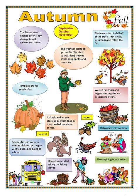 Autumn - English ESL Worksheets for distance learning and physical classrooms Fall Vocabulary, Seasons Worksheets, Fall Worksheets, Fall Vegetables, English Activities, Esl Worksheets, Classroom Posters, Fall Kids, Autumn Activities