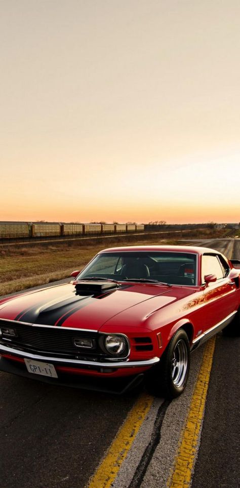 Cute Easter Wallpaper, Trylogia Hell, Mustang 1969, Mustang Wallpaper, Car Iphone Wallpaper, Easter Wallpaper, Ford Vehicles, Car Wallpaper, Cars 3