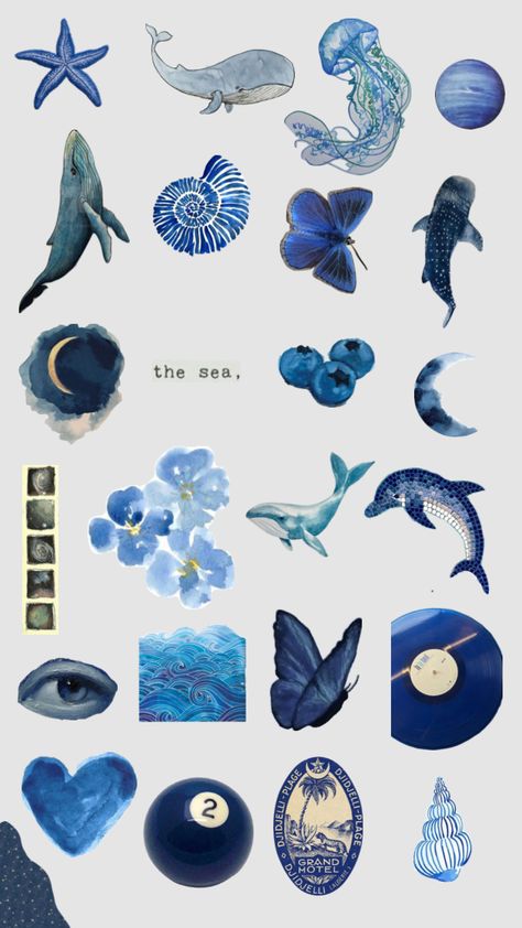 #sea #whale #blue #vlog #star Blue Mermaid Aesthetic, Ios 16 Wallpapers, Whale Sticker, Sea Whale, Ocean Stuff, Whale Blue, Memories Book, Phone Case Inspo, Beautiful Tattoos For Women