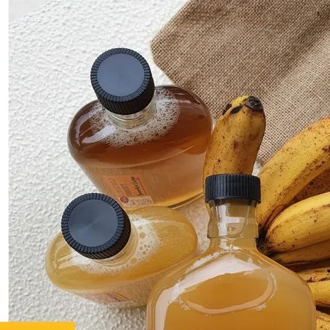 A Little Wild on Instagram: "Presenting ALW Banana Wine Vinegar! 

Its totally raw and great for your gut. We don't pasteurize our vinegar and don't cook our bananas. This allows wild yeasts (probiotics!) that are natually present on the fruit to do their thing, resulting in maximum nutrient availability and super interesting flavours.

Depending on the varieties of bananas in each batch, we've had tangy notes of honey, peach, and banana (surprise!)

Best as a refreshing shot or drizzled on salads, our Banana Wine Vinegar is a tropical alternative to Apple Cider Vinegar.

To order, visit our website - link in bio!" Banana Vinegar, Banana Wine, Wild Yeast, Wine Vinegar, The Fruit, Website Link, Cider Vinegar, Apple Cider Vinegar, Apple Cider