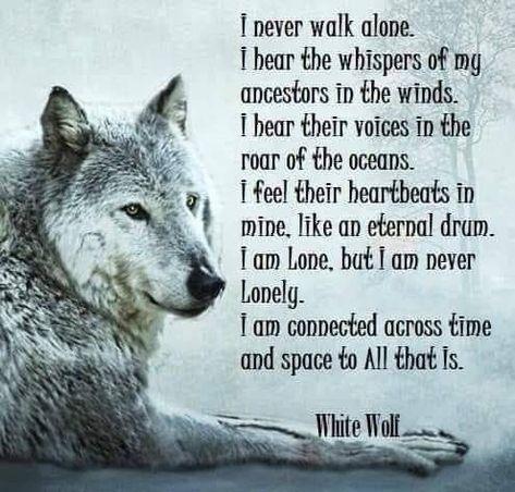 Native American Wolf Quotes, Native American Poems, Witchy Items, Lone Wolf Quotes, Bear Spirit, Spirit Animal Meaning, Compassion Quotes, Study Images, Native American Wolf