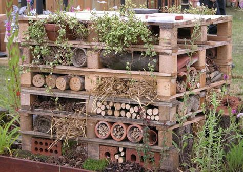 #Garden, #Hostel, #Insect, #RecycledPallet If you love insects, here is a custom way to welcome biodiversity in your garden. Moderne Have, Lots Of Plants, Wild Bees, Bee Hotel, Bug Hotel, Mason Bees, Insect Hotel, Pallet Garden, Wildlife Gardening