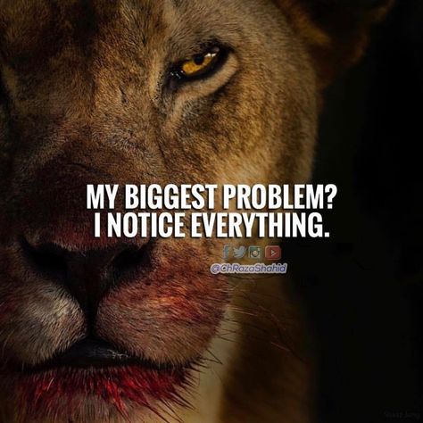 My Biggest Problem? I notice everything.... Lioness Quotes, Quotes About Attitude, Leo Quotes, Lion Quotes, Best Quotes Ever, Work Jokes, Warrior Quotes, Badass Quotes, A Lion