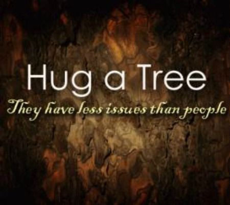 hug a tree #greenup Hugger Quotes, Hug A Tree, Tree Hugging, Nature Therapy, Hug Quotes, Save The Environment, Desktop Wallpaper Pattern, Forest Bathing, Laugh Out Loud