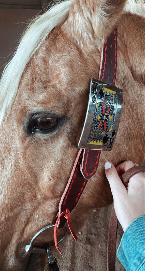 Belt Style Headstall, Cute Western Tack Sets, Cute Horse Tack, Horse Headstalls, Western Horse Tack Turquoise, Horse Tack Western, Bling Tack Sets, Western Tack Sets, Barrel Racing Tack Sets