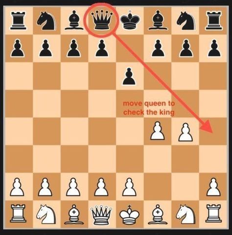 Chess Moves To Win, How To Win Chess, Chess Opening Moves, Chess Tips, Beginner Chess, Chess Basics, Chess Aesthetic, Chess Tricks, Chess Playing