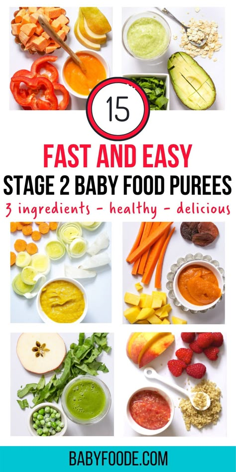 Stage 2 Foods, 7 Month Old Puree Recipes, 8 Month Old Puree Ideas, Pureed Baby Food Recipes, Homemade Baby Pouch Recipes, Vegetable Baby Food Puree, Baby Food Recipes Stage 2 Homemade, 6 Month Puree Recipes, Carrot Baby Food Ideas