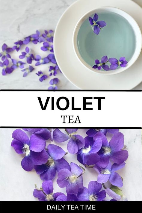 Common Blue Violet Recipes, Wild Violet Recipes, Herbal Living, Violet Tea, Yummy Nummies, Wild Violets, Foraging Recipes, Herbal Teas Recipes, Blue Tea