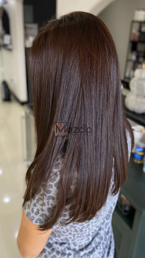 Hair Ideas Brunette, Coffee Hair Color, Brunette Hair Ideas, Color Straight Hair, Pelo Color Vino, Dark Brown Hair Dye, Brown Hair Inspiration, Brown Straight Hair, Coffee Hair