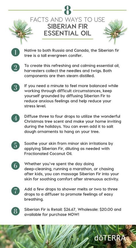 Abeto siberiano Siberian Fir Essential Oil, White Fir Essential Oil, Siberian Fir, Benefits Of Essential Oils, Essential Oil Education, Doterra Essential Oils Recipes, Essential Oils Guide, Essential Oil Benefits, Doterra Oils