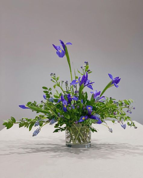 IRIS blossom | Charlotte Florist on Instagram: “little but mighty: baby boy celebration with iris, muscari, forget-me-not, and huckleberry. #irisblossomclt” Iris Floral Arrangements, Iris Boutonniere, Iris Flowers Bouquet, Iris Wedding Bouquet, Iris Wedding, Iris Bouquet, Apis Mellifera, Flower Identification, White Iris