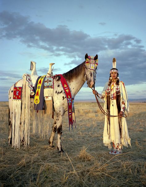 Native American Horses, Wilde Westen, Native American Pictures, The Americans, Native American Peoples, Native American Heritage, American Indian Art, Pow Wow, Native American History