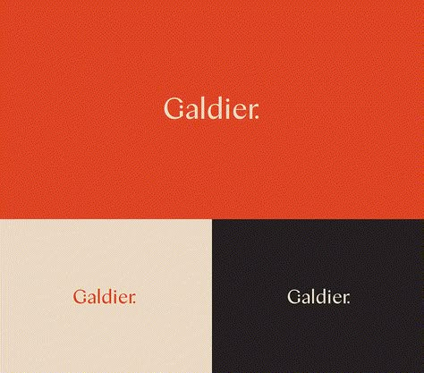 Galdier Branding by Kati Forner Orange Presentation Design, Orange Branding, Trendy Logo Design, Mm Logo, Flat Color Palette, Orange Palette, Orange Color Palettes, Trendy Logos, Color Palate