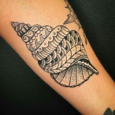 Lucas Baker, Yesterday Tattoo, Maori Tattoo Frau, Mandala Arm Tattoo, Dotwork Tattoo Mandala, Shell Tattoo, Seashell Tattoos, Shell Tattoos, Tattoo Mandala