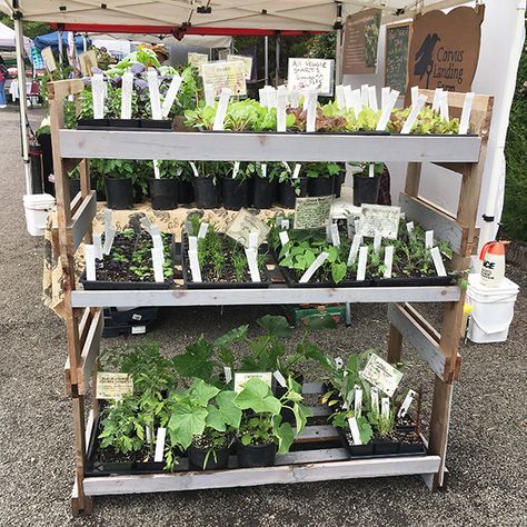 Farmers Market Plant Stand, Roadside Plant Stand, Selling Plant Starts, Farmers Market Plant Display, Farm Stand Items To Sell, Selling Seedlings, What To Sell At Farmers Market, Plant Sale Ideas, Farmers Market Ideas