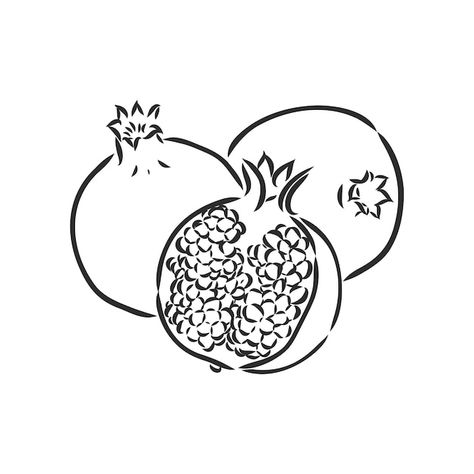 Vector vector sketch of tropical pomegra... | Premium Vector #Freepik #vector #garnet #pomegranate #pomegranate-background #pomegranate-fruit Pomegranate Outline, Pumpkin Zentangle, Pomegranate Drawing, Pomegranate Vector, Pomegranate Tattoo, Outline Images, Pomegranate Fruit, Clay Wall Art, Vector Sketch