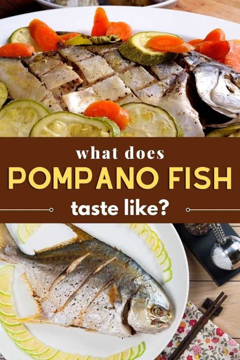 The pompano fish has lots of nutritional benefits and astounding features that makes it one of the finest selections, which are highly desirable for food lovers and chefs. In this article, you will get to know what makes pompano fish unique and we’ll define how it really tastes like, for first-timers to have an idea of what to expect from the pompano fish. Golden Pompano Fish Recipe, Pampano Recipe, Pompano Fish Recipe, Pompano Fish, Food Knowledge, Gourmet Chef, Fish Recipe, Wine Sauce, Rich In Protein