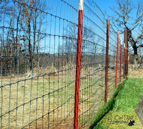 Sheep and goat fencing Goat Fencing, Fences Design, Types Of Fencing, Sheep Fence, Goat Fence, Livestock Fence, Goat Playground, Goat Shelter, Goat Pen