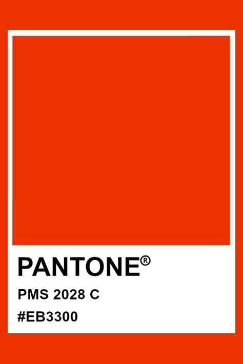 Pantone PMS 2028 #pantone #color Pantone Colors Orange Shades, Yellow Painted Rooms, Orange Pantone, Pantone Orange, Surya Namaskara, Clementine Orange, Pantone Red, Pantone Matching System, Pantone Colours