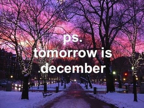 PS tomorrow is december christmas december merry christmas christmas pictures christmas ideas happy holidays merry xmas Hello December Tumblr, Tomorrow Is December, December Quotes, Hello November, Happy December, Hello December, Days And Months, Christmas Time Is Here, Proud Of Me