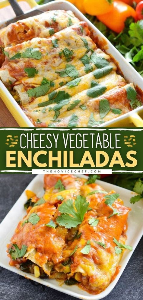 Vegetable Enchiladas Recipe Healthy Enchiladas Vegetarian, Easy Vegetarian Enchilada Casserole, Best Vegetarian Enchiladas, Veg Enchiladas Recipe, Vegitaren Enchiladas, Vegan Enchiladas Recipe, Enchiladas Recipe Vegetarian, Meatless Enchiladas Recipes, Veggie Burittos Recipes