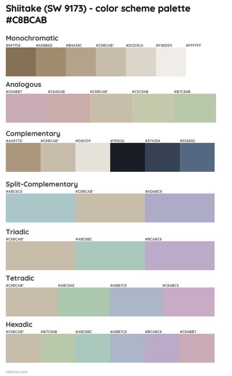 Manchester Tan Benjamin Moore, Anew Gray Sherwin Williams, Valspar Paint Colors, Anew Gray, Valspar Colors, Analogous Color Scheme, Split Complementary Colors, Rgb Color Wheel, Monochromatic Color Palette