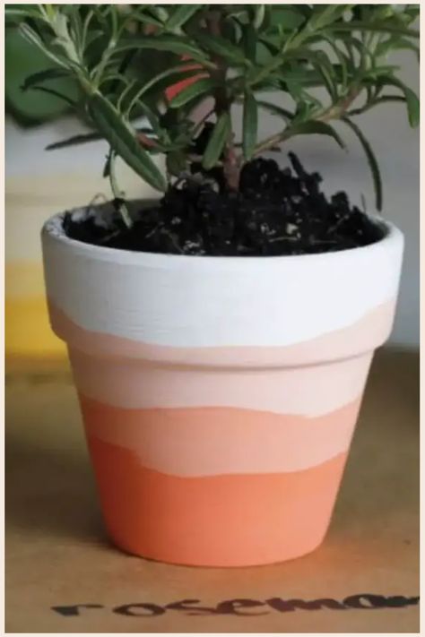 Discover a world of creativity with these 38 painted flower pots ideas! Whether you're searching for a unique gift for Mother's Day or want to add a boho touch to your space, painting terra cotta pots is the perfect DIY project. From simple and easy designs to kid-friendly art activities, explore aesthetic and creative flower pot painting ideas that will bring color and life to your home decor. Let your imagination bloom with these inspiring painted flower pots designs. Diy Terra Cotta Pots Paint, Painted Flower Pots Diy, Painting Plastic Pots, Painting Flower Pots Ideas Simple, Painted Terra Cotta Pots Boho, Simple Terracotta Pot Painting, Painted Terra Cotta Pots Ideas, Painted Flower Pots Ideas, Painted Pots Diy Terra Cotta