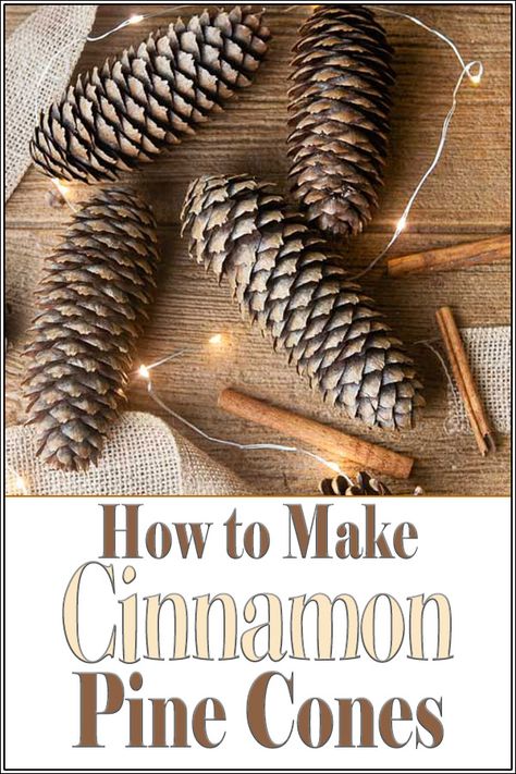 Learn how to make cinnamon pine cones easily at home. This DIY is less expensive than buying store bought scented ones. The results are perfect for homemade potpourri, centerpieces, ornaments and more! #tutorial #craft #homedecor #falldecor #fallcraft #wintercraft #winterdecor #Christmas #christmasdecor #christmascraft #pinecones Cinnamon Pinecones, Homemade Potpourri, Diy Cinnamon, Scented Pinecones, Cinnamon Ornaments, Christmas Pine Cones, How To Make Oil, Cinnamon Oil, Cinnamon Essential Oil