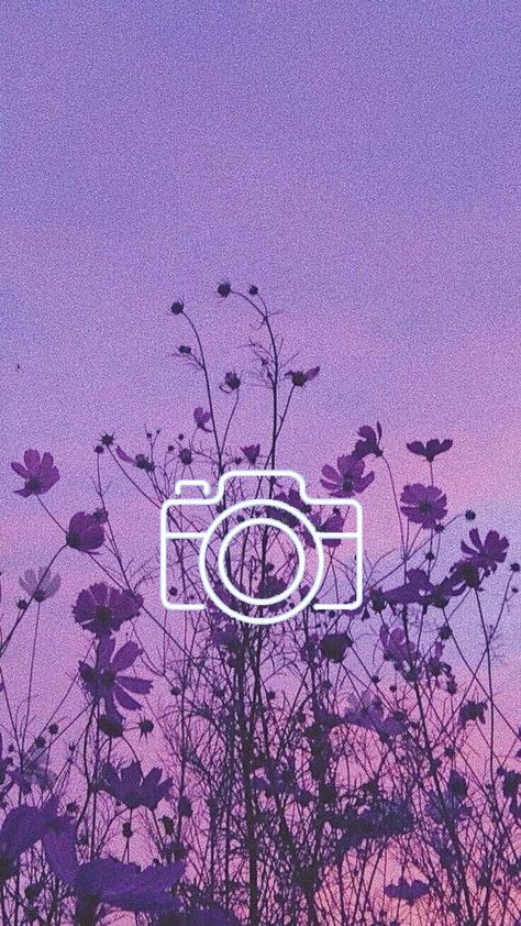 Camera Purple Camera, Purple Camera Aesthetic, Purple App Icon Flower, Purple Digital Camera, Pastel Purple Camera Icon, Iphone Wallpaper Bts, Camera Art, App Pictures, Flower Video