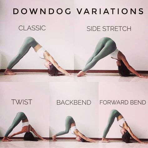 Yoga Fundamentals on Instagram: “Try these fun downdog variations in your next practice. You will feel a different stretch with each movement.  Click the link in the bio to…” Yoga Progress, Yoga Anatomy, Yoga Tutorial, Yoga Motivation, Learn Yoga, Yoga Times, Easy Yoga Workouts, Yoga Day, Daily Yoga