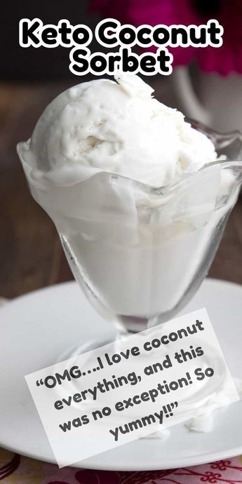 This Keto Coconut Sorbet is so creamy and refreshing, and it’s completely dairy-free. With only 5 ingredients, it’s an easy and delicious sugar-free dessert option for the hot weather. Keto Sorbet, Carnivore Sweets, Keto Popsicles, Sorbet Is, Coconut Sorbet, Low Carb Ice Cream, Postre Keto, My Keto, Keto Sweets