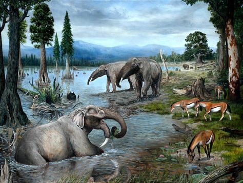 Dinosaur Era, Prehistoric Wildlife, Dinosaur Pictures, Prehistoric World, Terra Nova, Ark Survival Evolved, Prehistoric Art, Paleo Art, Extinct Animals